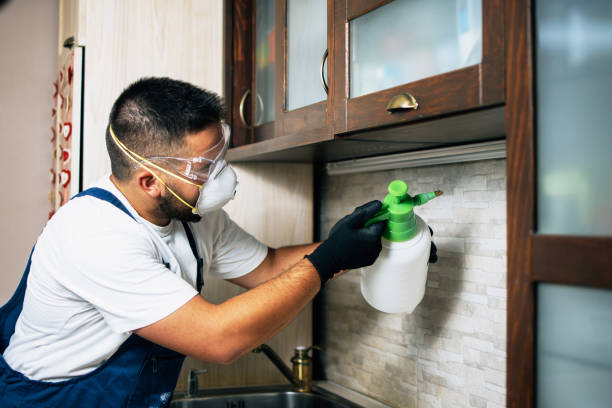 Pest Control Cost in Locust Fork, AL
