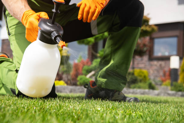 Best Pest Control Cost  in Locust Fork, AL
