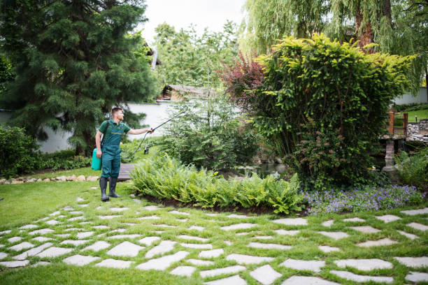 Best Commercial Pest Control Services  in Locust Fork, AL