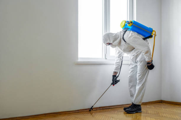 Best Pest Prevention Services  in Locust Fork, AL