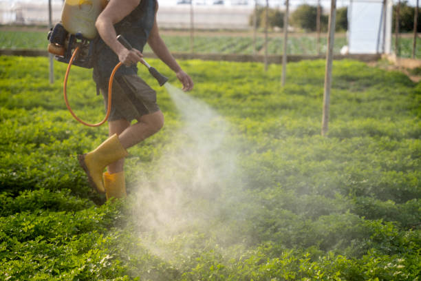 Reliable Locust Fork, AL Pest Control Solutions