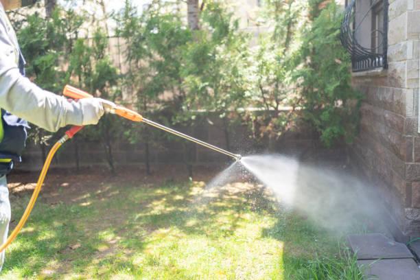 Spider Control Near Me in Locust Fork, AL